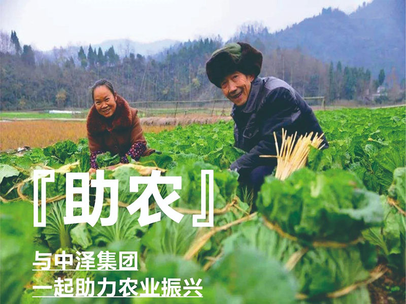 ������ũ��������������yzc888���޳����ж�