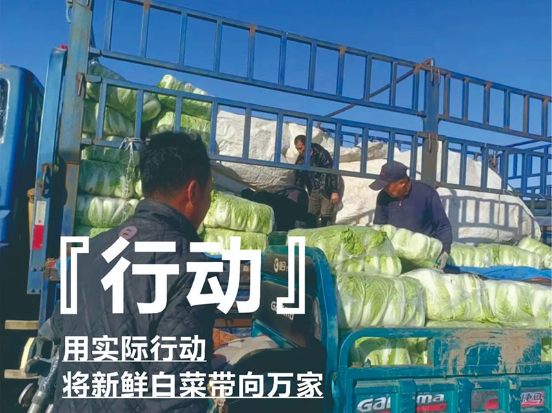 ������ũ��������������yzc888���޳����ж�