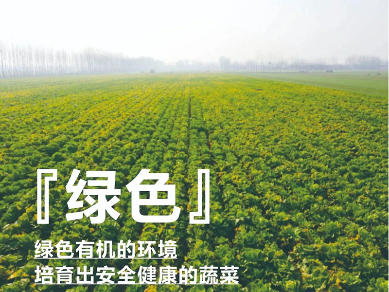 ������ũ��������������yzc888���޳����ж�