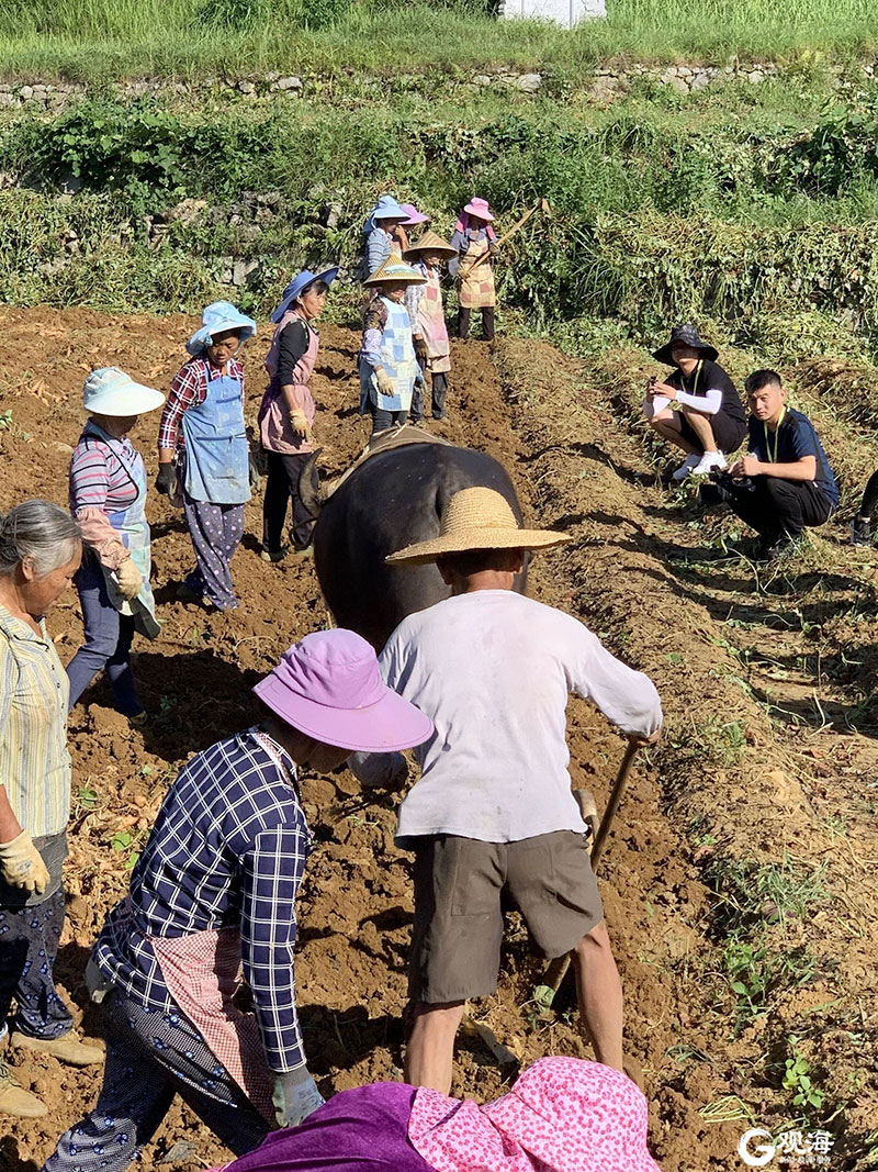 积极参与青岛市扶贫协作活动 积极参与青岛市扶贫协作活动
