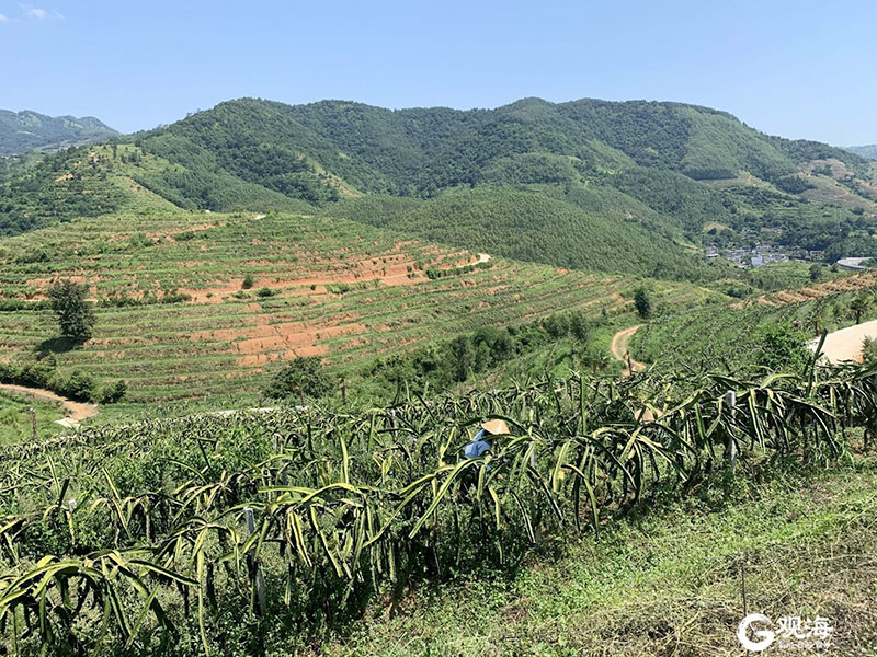 积极参与青岛市扶贫协作活动 积极参与青岛市扶贫协作活动